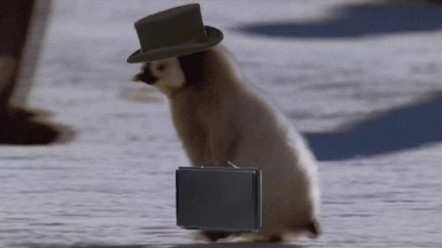 maxresdefault (1).jpg